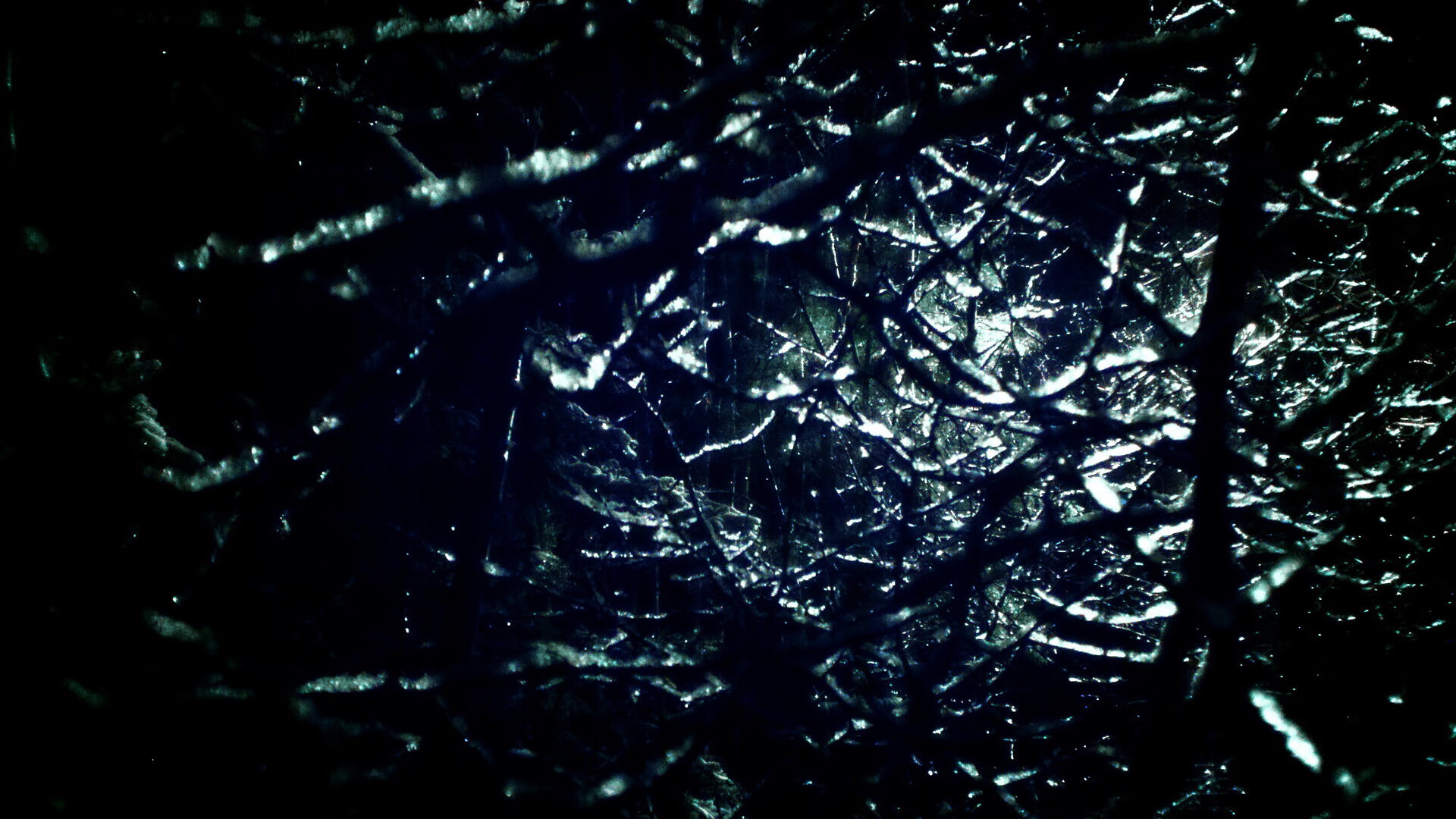 开云体育平台-美洲杯激情夜：明星云集，精彩纷呈，美洲杯经典比赛