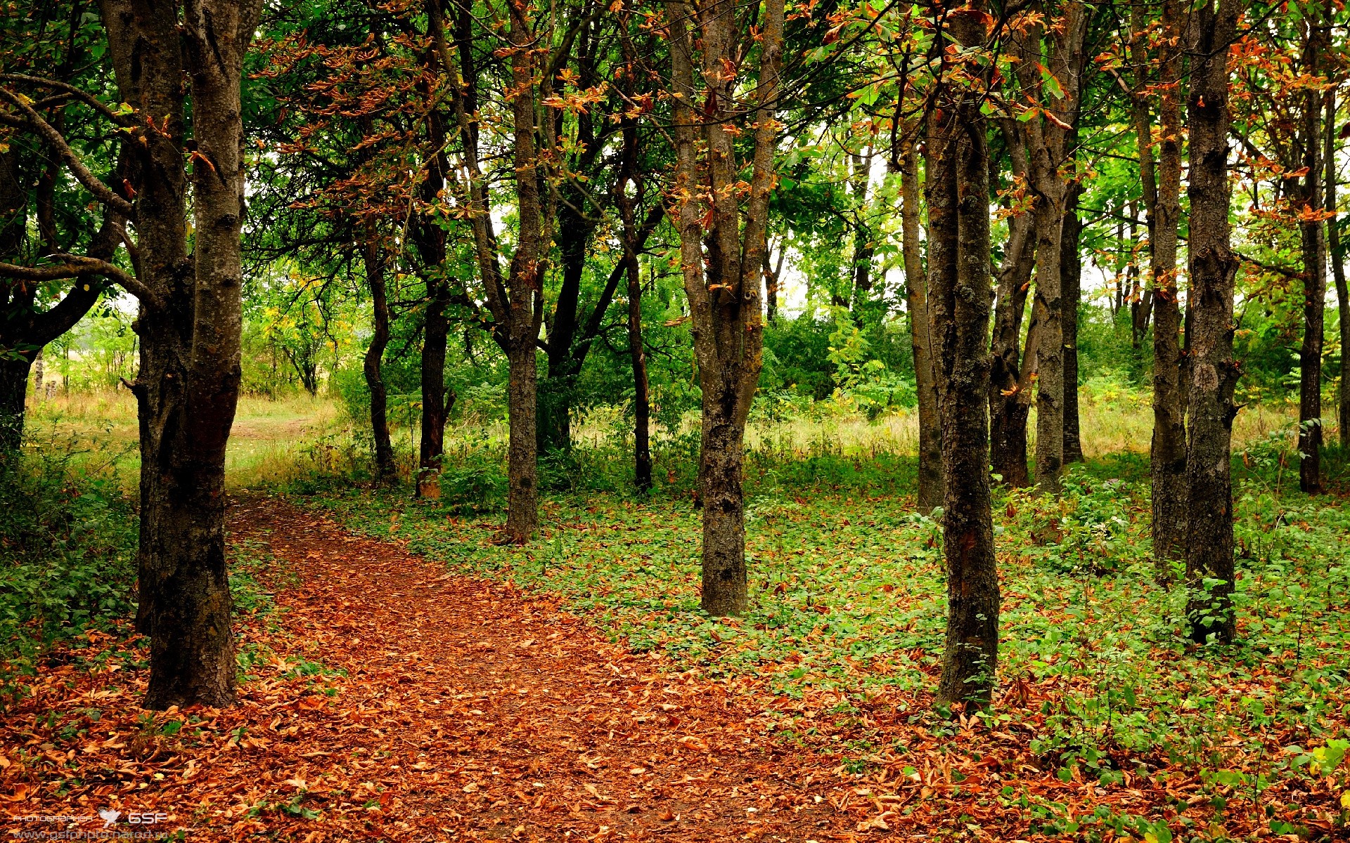 青训体系普及足球基础知识课程形成完整学习闭环,足球青训分几个阶段