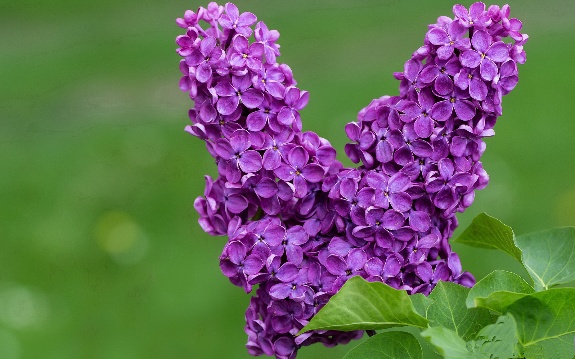 马克·阿特金森:他的快速突破和得分能力使南非队占据优势,阿特马利克